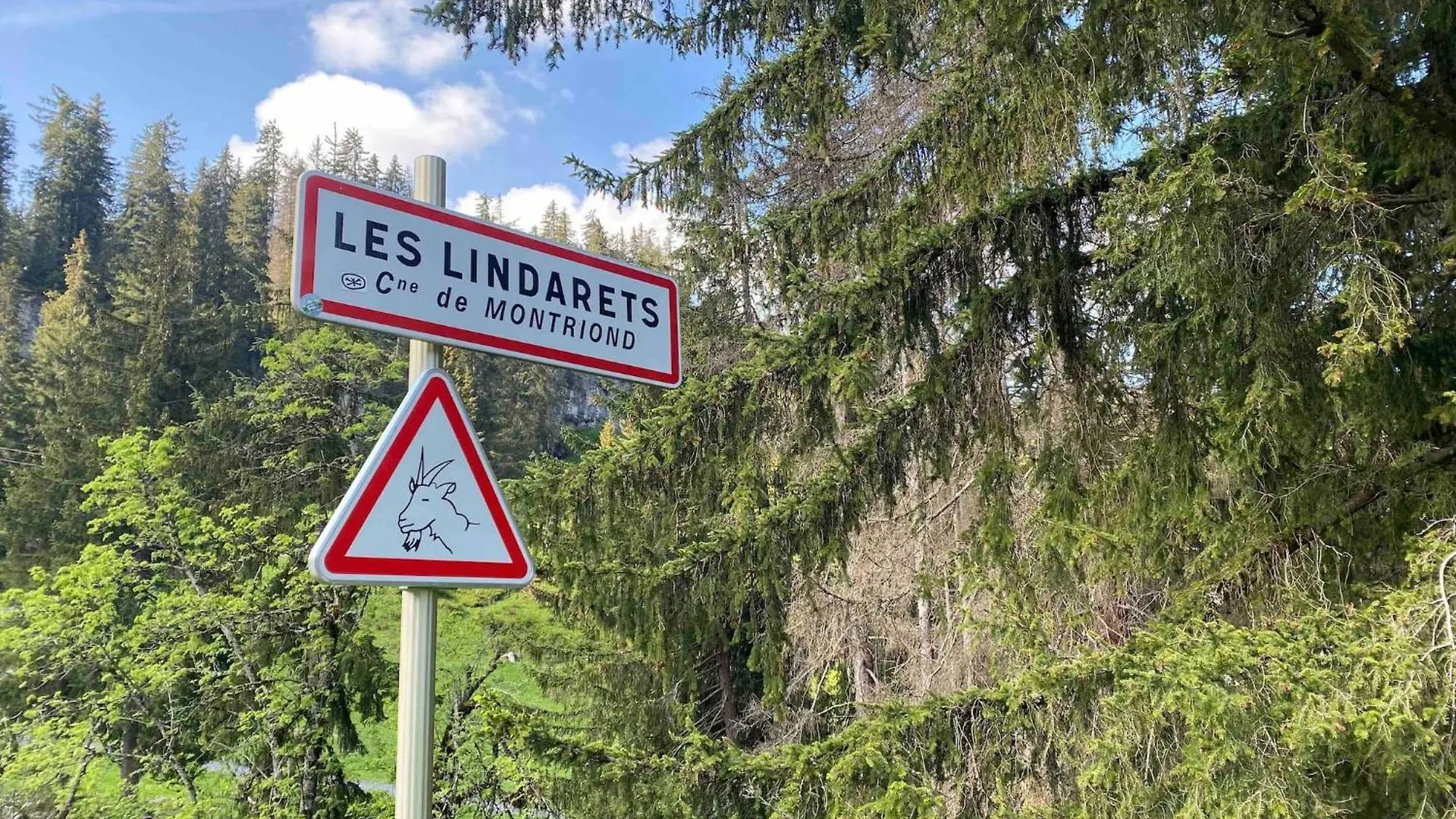 Le Ruisseau, Lindarets, Authentique, 11 Personnes Villa Montriond 0*,