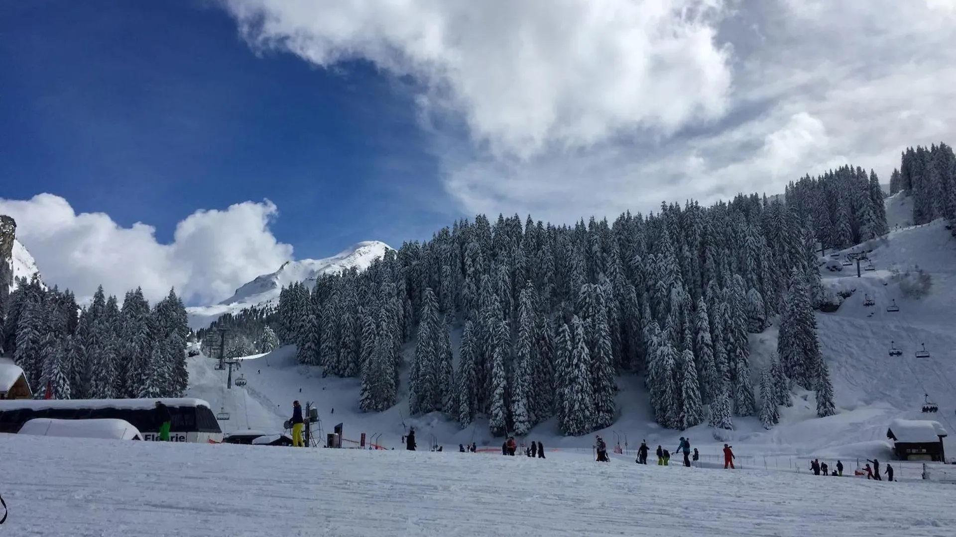 Le Ruisseau, Lindarets, Authentique, 11 Personnes Villa Montriond Chalet