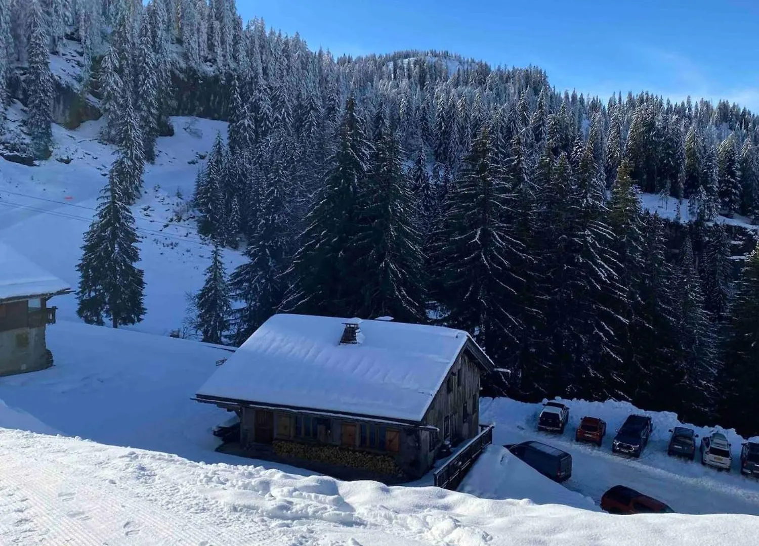 Le Ruisseau, Lindarets, Authentique, 11 Personnes Villa Montriond 0*,  France